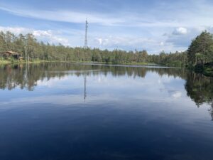 Viktjern forest tour